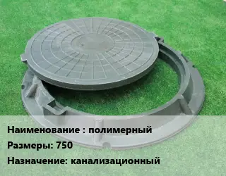 Люк полимерный 750 канализационный